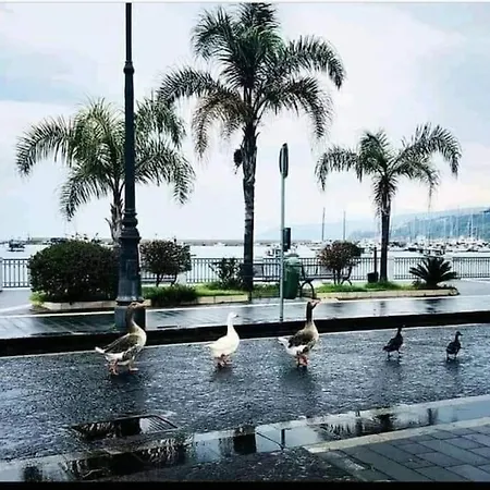 La Casetta Di Ulisse Minicasa Per Amici Appartamento *