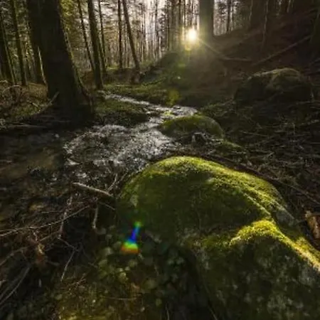 Apartamento La Casetta Di Ulisse Minicasa Per Amici