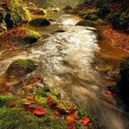 Appartamento La Casetta Di Ulisse Minicasa Per Amici *