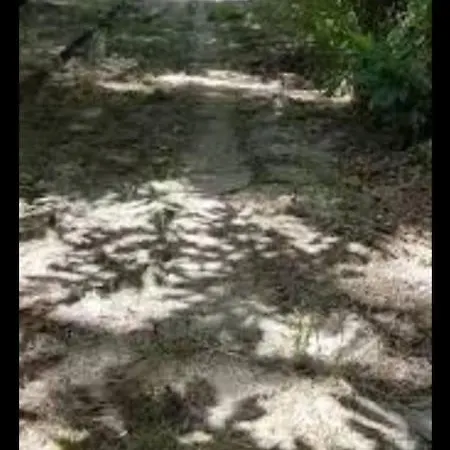 La Casetta Di Ulisse Minicasa Per Amici Appartamento Vibo Valentia