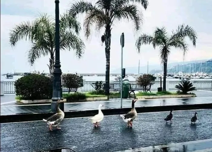 La Casetta Di Ulisse Minicasa Per Amici Lejlighed *