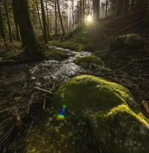 Lejlighed La Casetta Di Ulisse Minicasa Per Amici