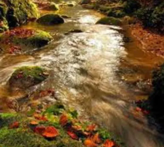 Lejlighed La Casetta Di Ulisse Minicasa Per Amici *