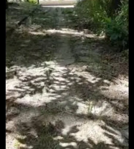 La Casetta Di Ulisse Minicasa Per Amici 公寓 维博瓦伦蒂亚